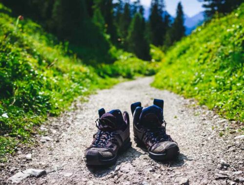 **Wandelavonturen in Oostenrijk: Een Uitnodiging tot Natuurlijke Pracht** Oostenrijk, met zijn adembenemende Alpenlandschappen en schilderachtige dorpen, is een paradijs voor wandelliefhebbers. Of je nu een ervaren bergbeklimmer bent of gewoon op zoek bent naar een ontspannen wandeling in de natuur, Oostenrijk heeft voor elk wat wils. **De Betoverende Alpen: Een Speeltuin voor Wandelaars** De Alpen domineren het Oostenrijkse landschap en bieden een scala aan wandelmogelijkheden voor alle niveaus. Van de majestueuze pieken van de Hohe Tauern tot de glooiende heuvels van de Wienerwald, de diversiteit van het terrein zorgt ervoor dat elke wandeling een uniek avontuur is. Er zijn goed gemarkeerde paden voor beginners en uitdagende bergtochten voor de meer ervaren wandelaars. **Idyllische Wandeldorpen: Verkenning van Traditioneel Oostenrijks Leven** Tijdens je wandelvakantie in Oostenrijk kun je genieten van de charme van de schilderachtige dorpen langs de routes. Stop in een traditionele almhut voor een stevige Oostenrijkse maaltijd of rust uit op een zonnig terras met uitzicht op de bergen. De warme gastvrijheid van de lokale bevolking voegt een extra dimensie toe aan je wandelervaring, waardoor je de cultuur van het land echt kunt waarderen. **Seizoenen van Wandelen: Oostenrijkse Natuur het Hele Jaar Door** Of het nu zomer, herfst, winter of lente is, Oostenrijk biedt het hele jaar door mogelijkheden om te wandelen. In de zomer kun je genieten van bloeiende alpenweiden en heldere bergmeren, terwijl de herfst de bergen bedekt met een prachtig kleurenpalet. In de winter transformeren sommige gebieden in een winterwonderland, perfect voor sneeuwschoenwandelingen, terwijl de lente de flora en fauna tot leven brengt. **Praktische Tips voor een Perfecte Wandelervaring** Voor degenen die van plan zijn een wandelvakantie in Oostenrijk te ondernemen, zijn er enkele praktische overwegingen. Zorg voor geschikte wandelschoenen, controleer het weerbericht en kies routes die overeenkomen met je fitnessniveau. Het is ook raadzaam om een kaart en een kompas mee te nemen, zelfs als de paden goed gemarkeerd zijn. Daarnaast zijn er veel lokale gidsen beschikbaar die je kunnen helpen de meest adembenemende plekjes te ontdekken. **Conclusie: Oostenrijk, Een Wandelparadijs Wacht op Jou** Of je nu de uitdaging van een bergbeklimming aangaat of liever ontspant tijdens een rustige wandeling in de vallei, Oostenrijk biedt een ongeëvenaarde wandelervaring. Met zijn overvloedige natuurlijke schoonheid, vriendelijke dorpen en diverse terreinen, is Oostenrijk een bestemming die elke wandelaar zal betoveren. Dus trek je wandelschoenen aan en ontdek de betoverende wereld van wandelavonturen in Oostenrijk.